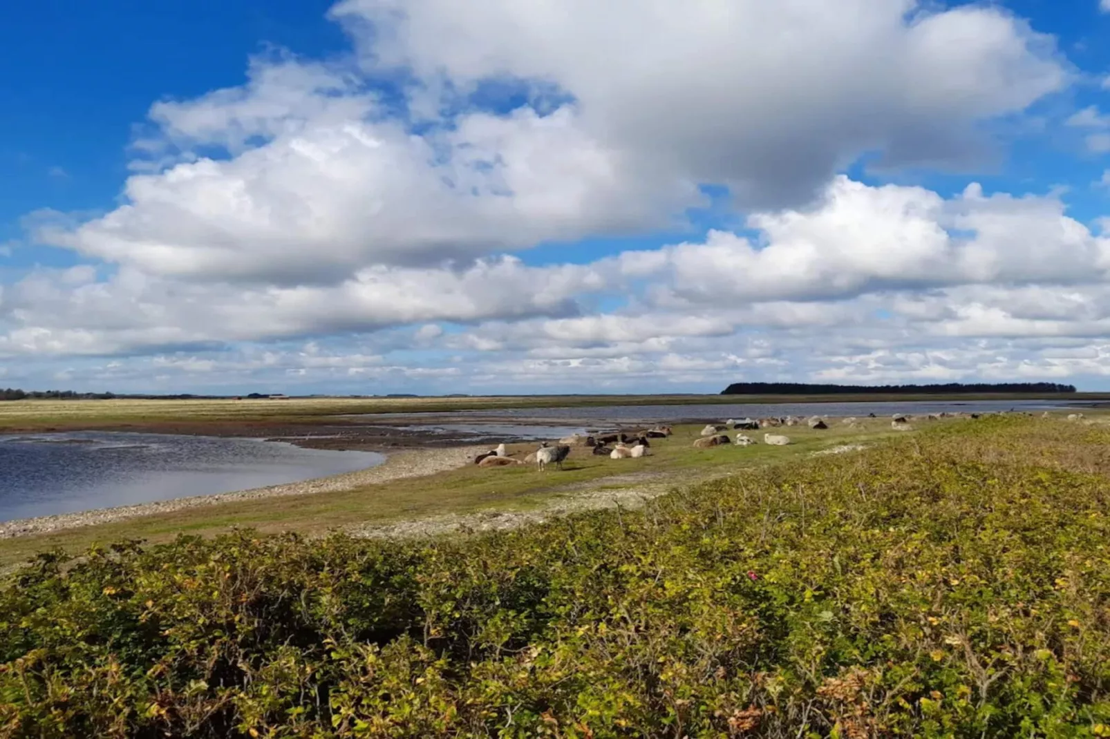 5 persoons vakantie huis in Roslev-By Traum-Waterzicht