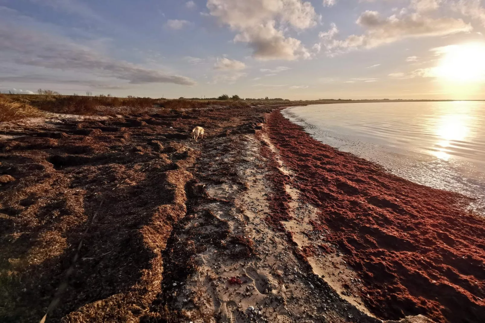 8 persoons vakantie huis in Dannemare-By Traum-Waterzicht