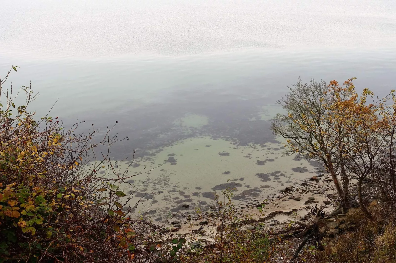 Gezellig toevluchtsoord met spa -- By Traum Ferienwohnungen-Waterzicht