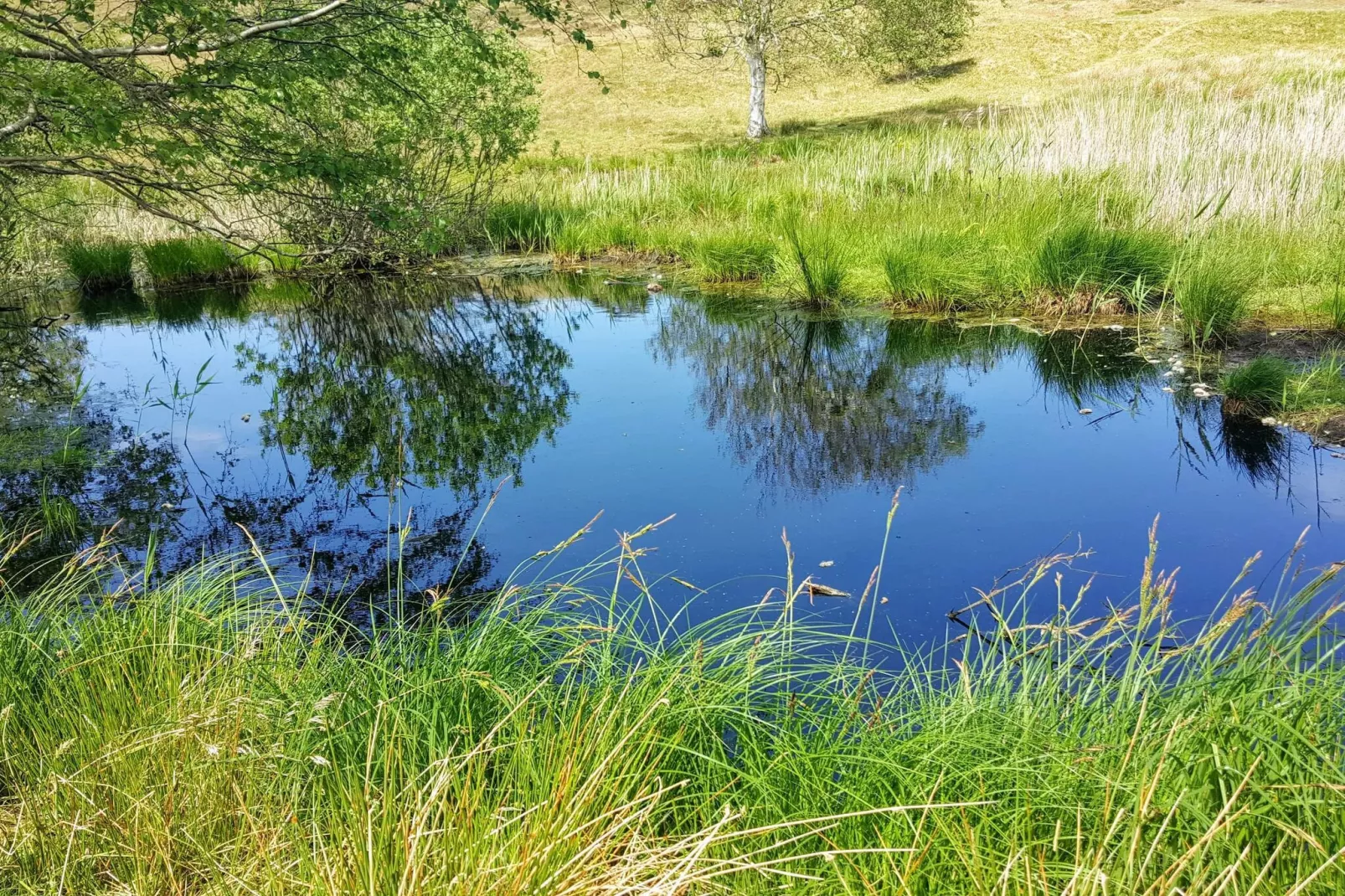 Luxe retraite met zwembad -- By Traum Ferienwohnungen-Waterzicht