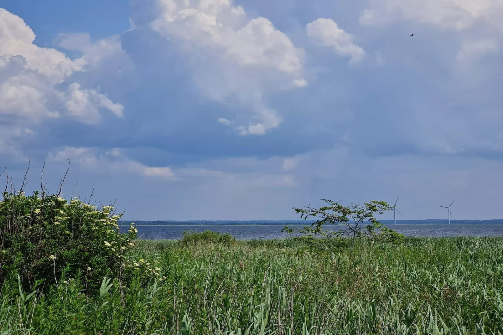 Luxe Spa Retreat bij Fjord -- By Traum Ferienwohnungen-Waterzicht