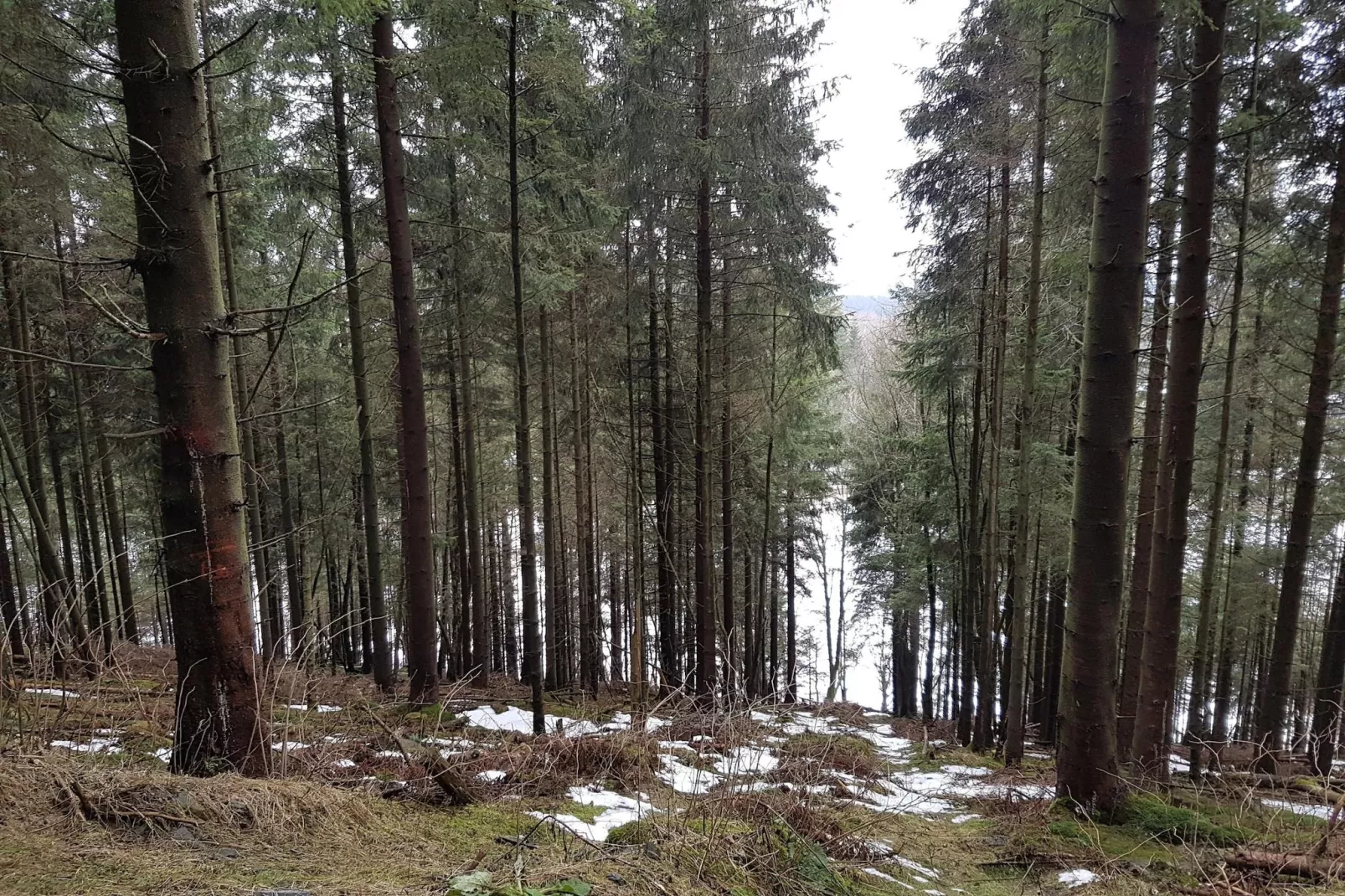 Weltring-Park 2-T-Gebied winter 20km