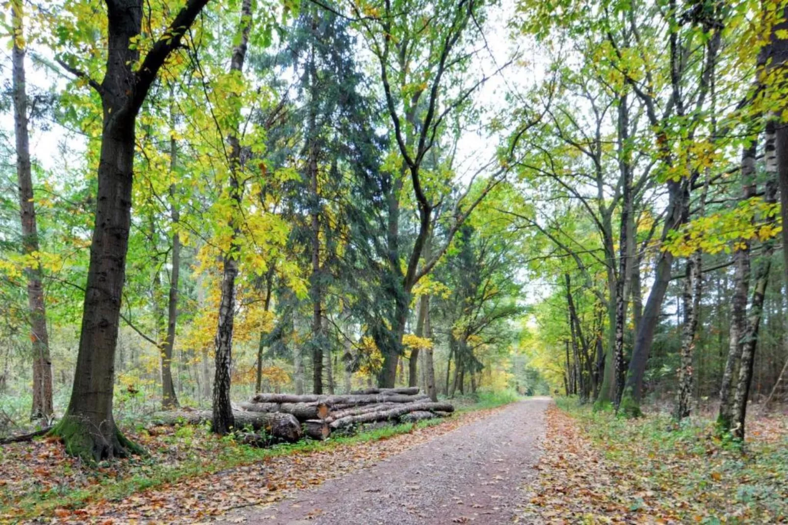 Bospark Markelo 5-Gebieden zomer 20km