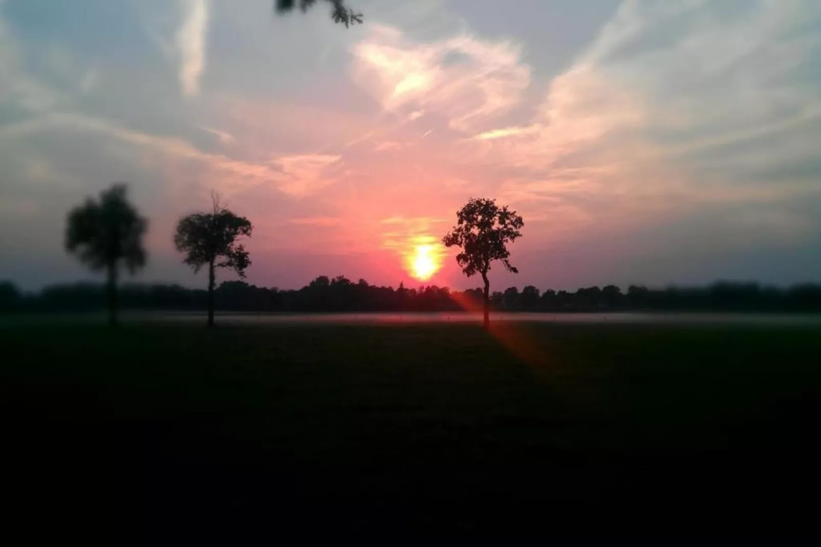 Bospark Markelo 6-Gebieden zomer 20km