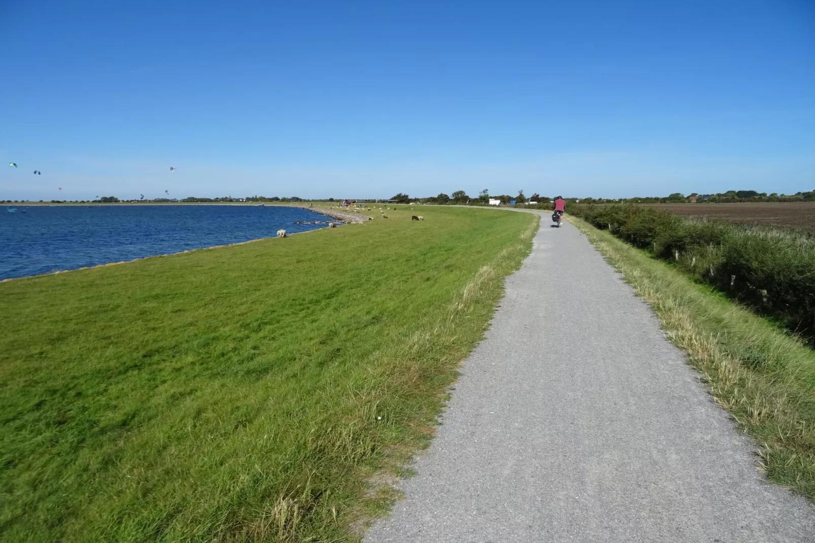 FeWo Sturmeck 67 qm Typ P5 1 OG-Gebieden zomer 5km