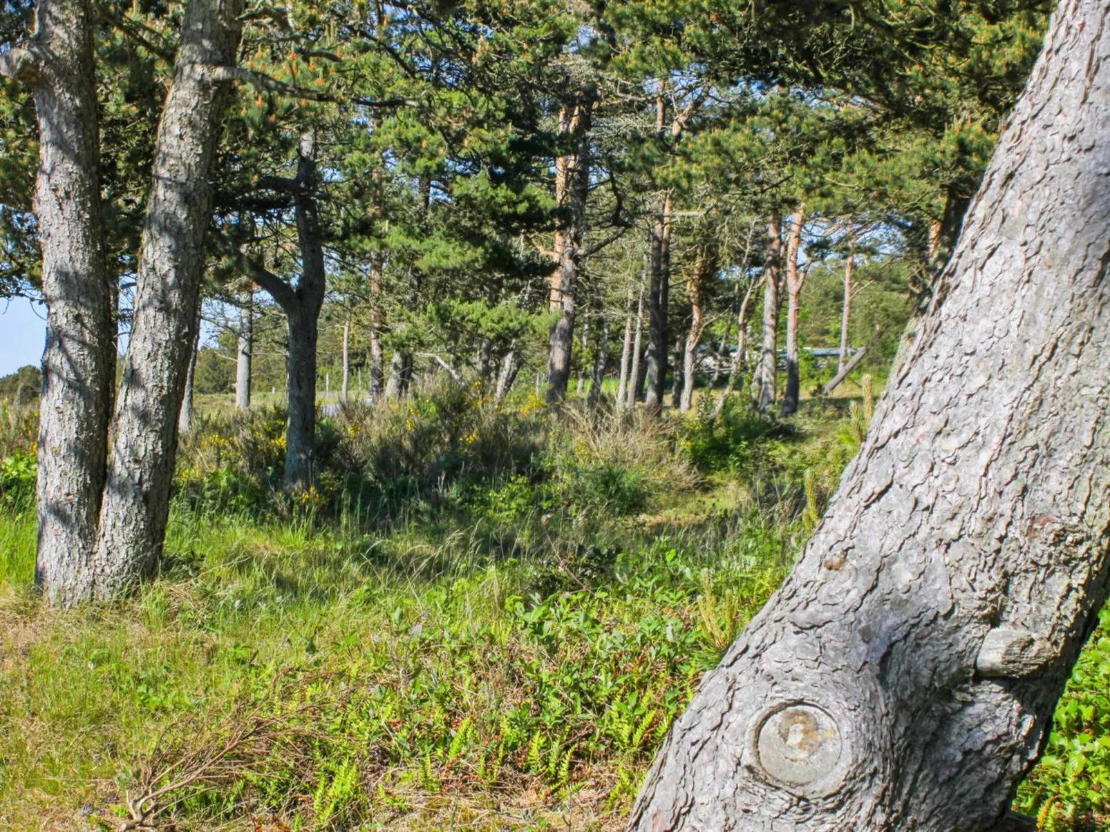 "Hatem" - 200m from the sea-Buiten