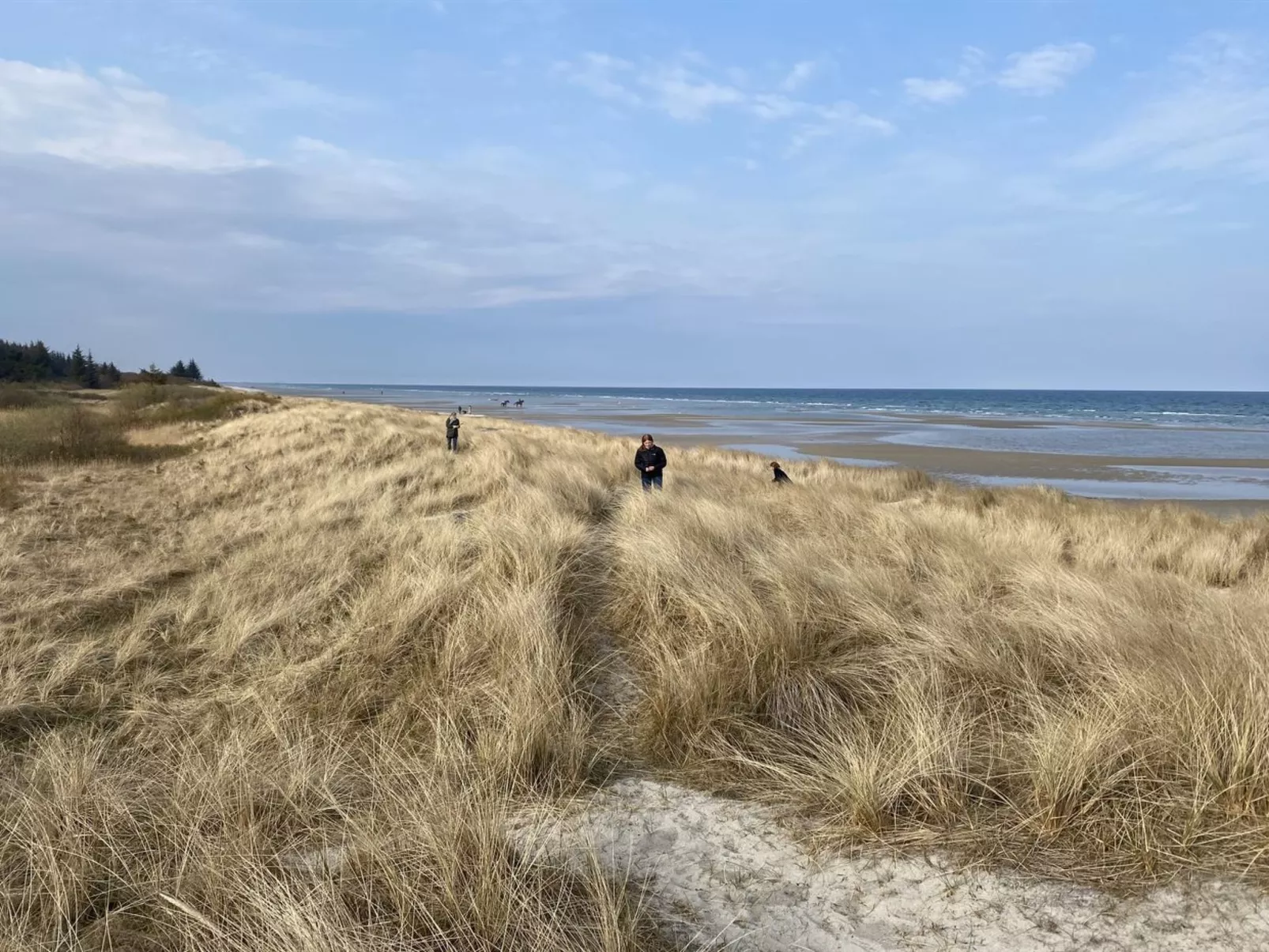 "Kajo" - 800m from the sea-Buiten