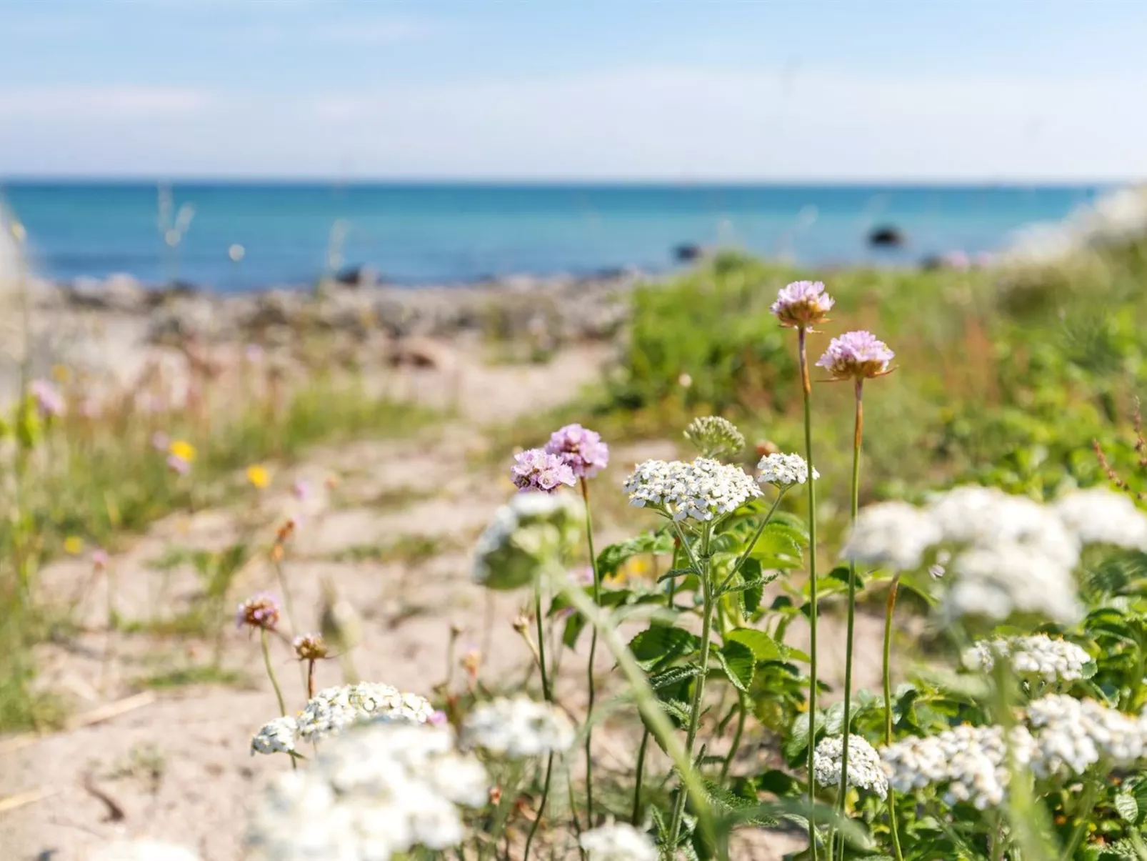 "Gjuro" - 50m from the sea-Buiten