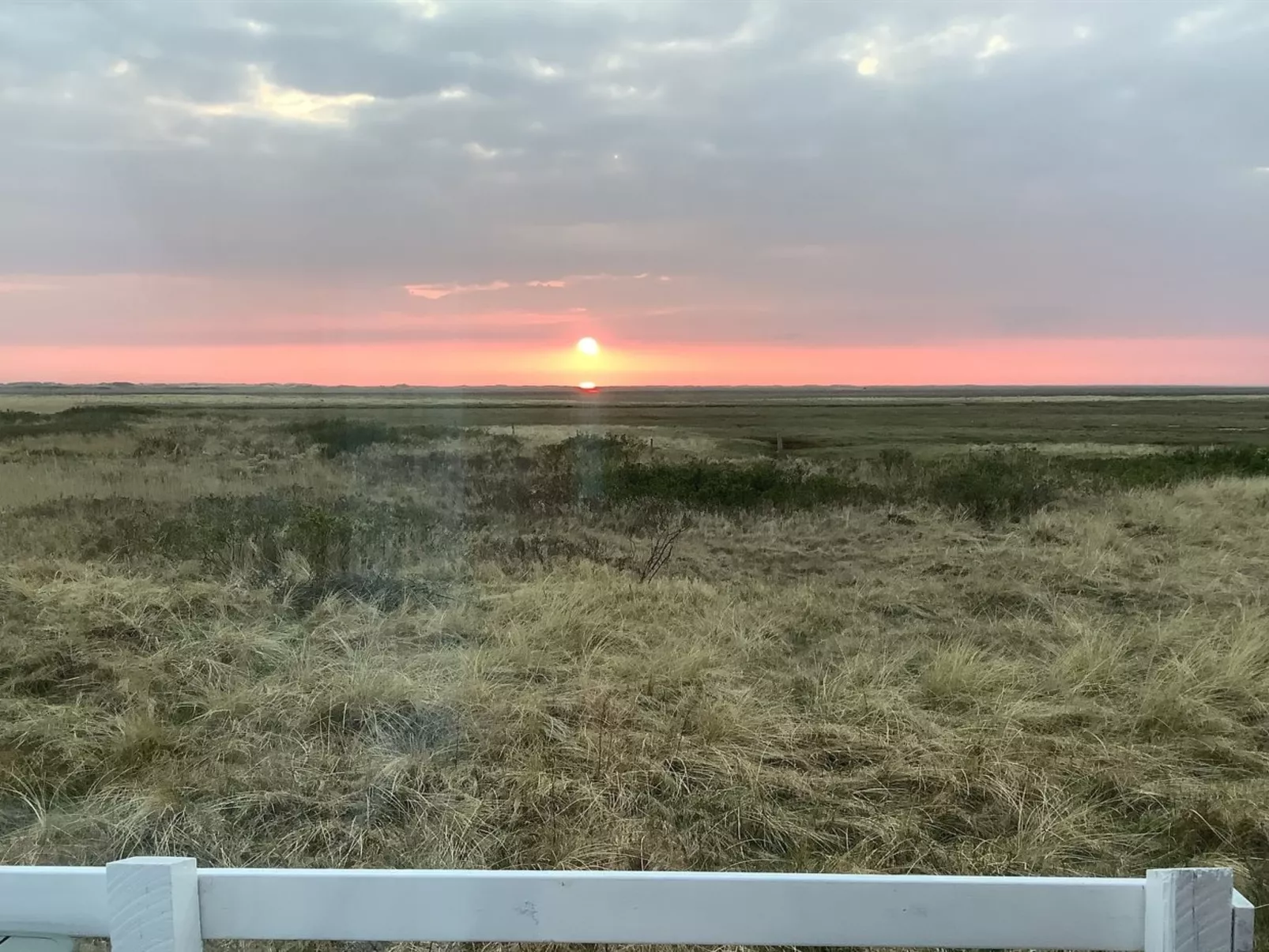 "Blomma" - 350m from the sea-Buiten