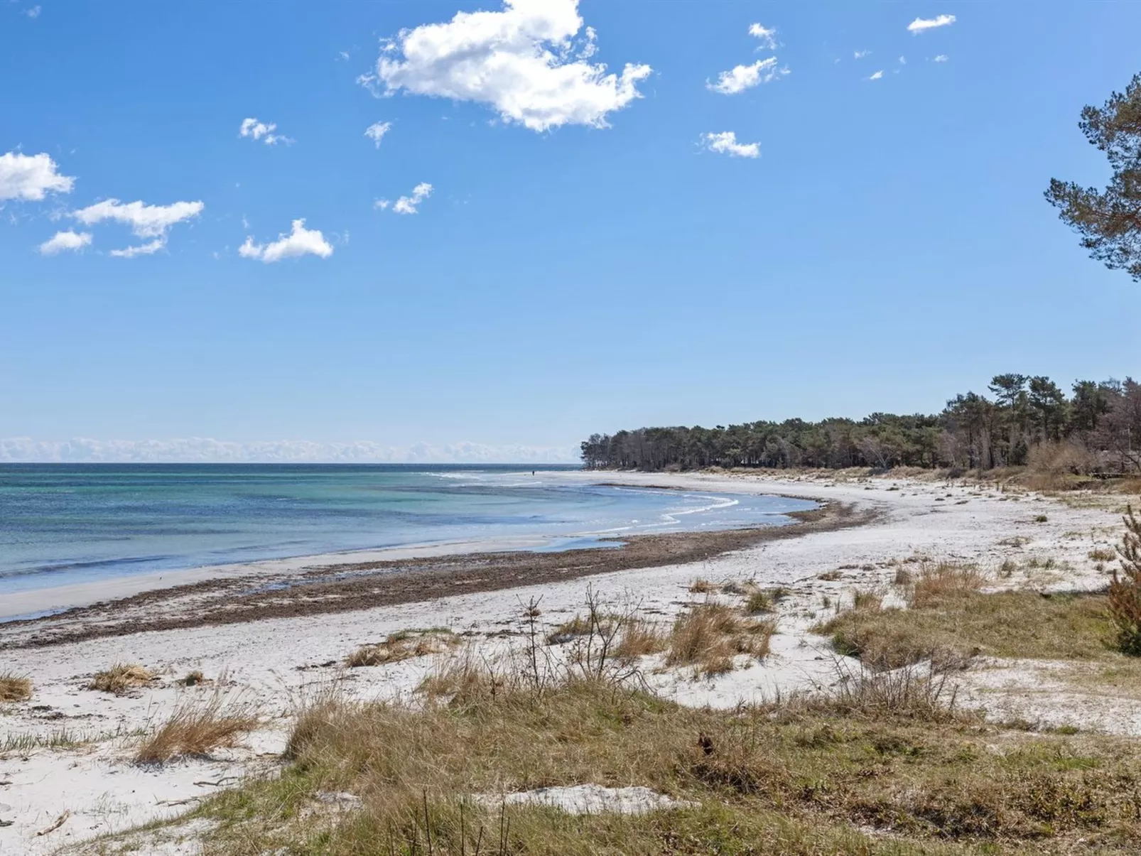 "Botolphus" - 20m from the sea-Buiten