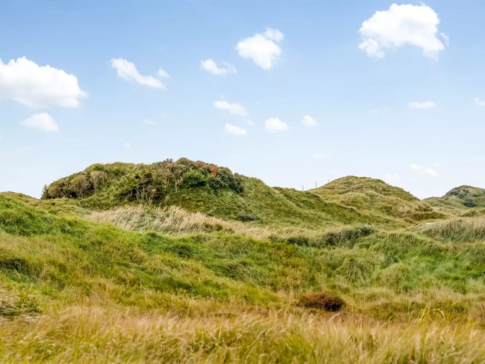 "Tarvo" - 400m from the sea-Buiten