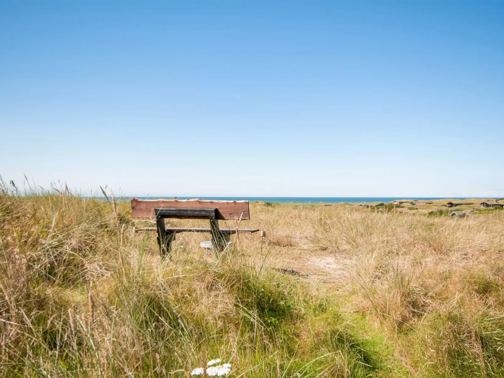 "Diuri" - 400m from the sea-Buiten