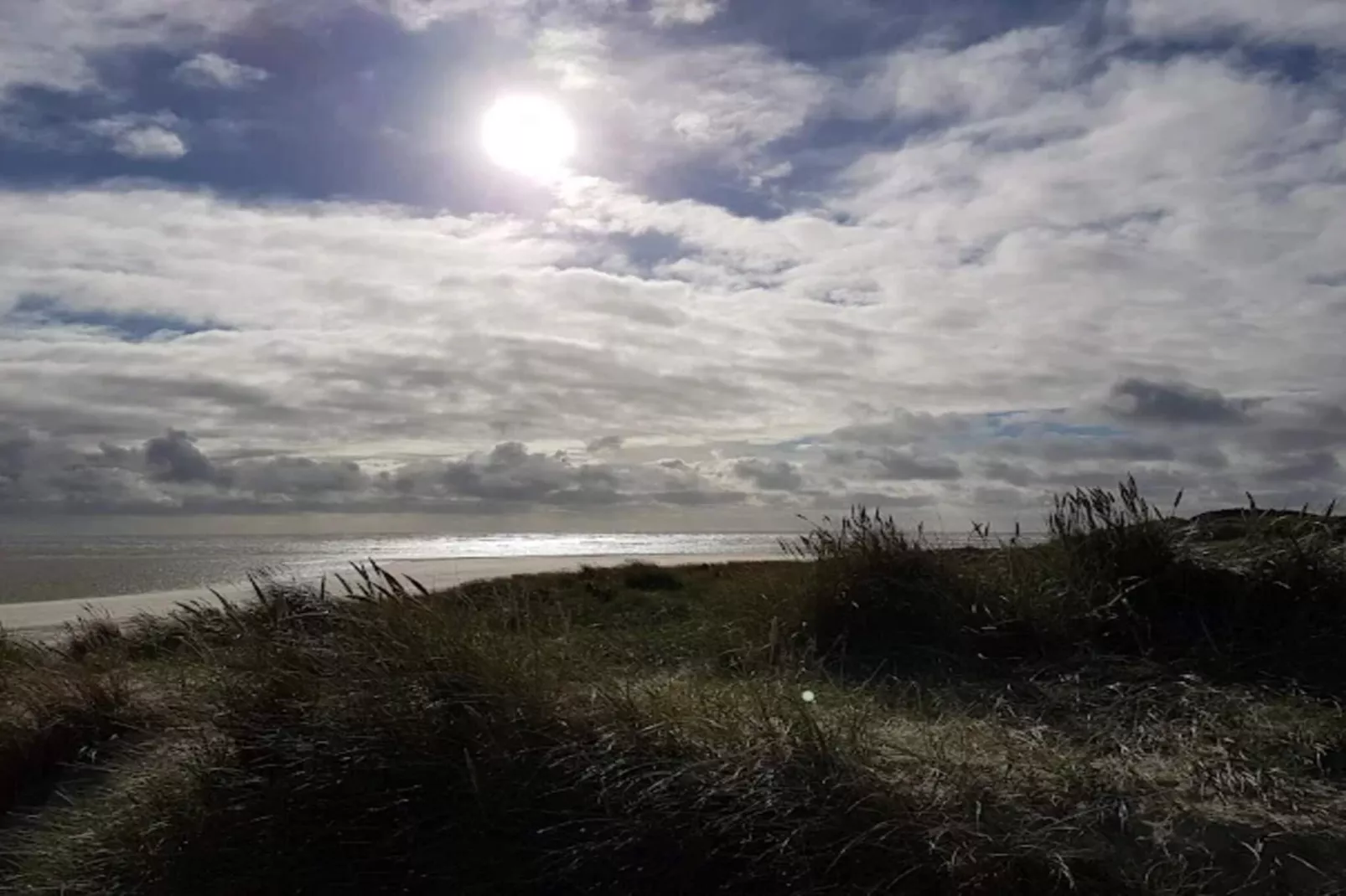 10 persoons vakantie huis in Blåvand-Waterzicht