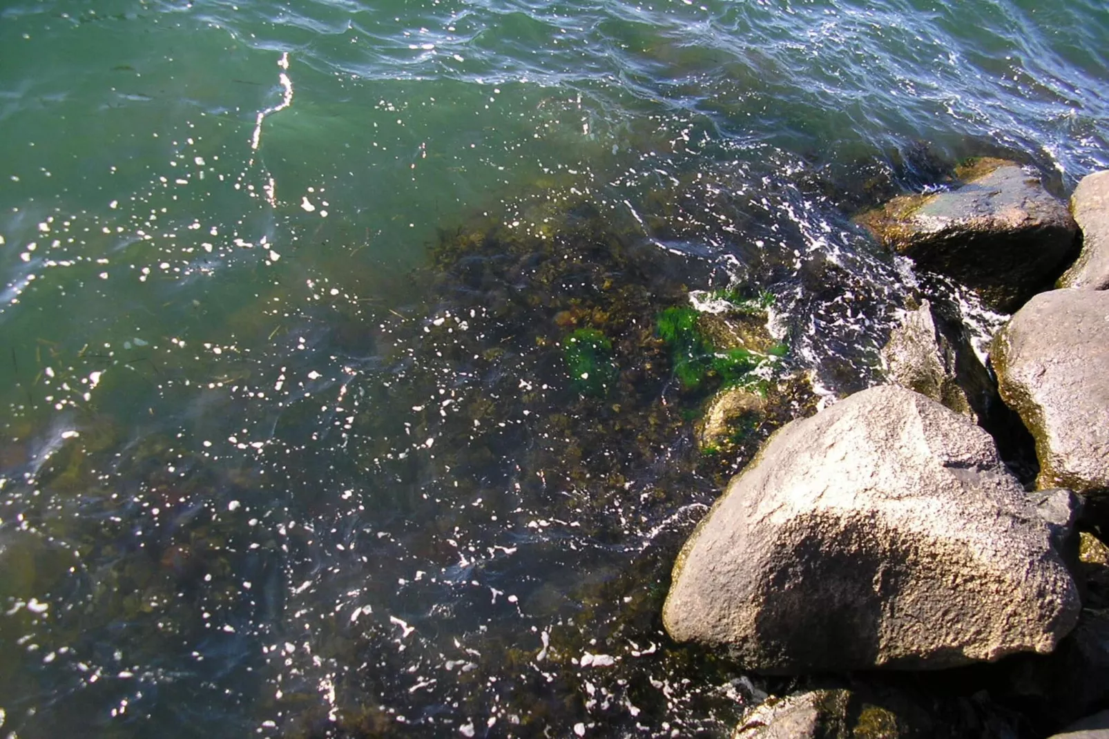 Strand retraite met sauna -- By Traum Ferienwohnungen-Waterzicht