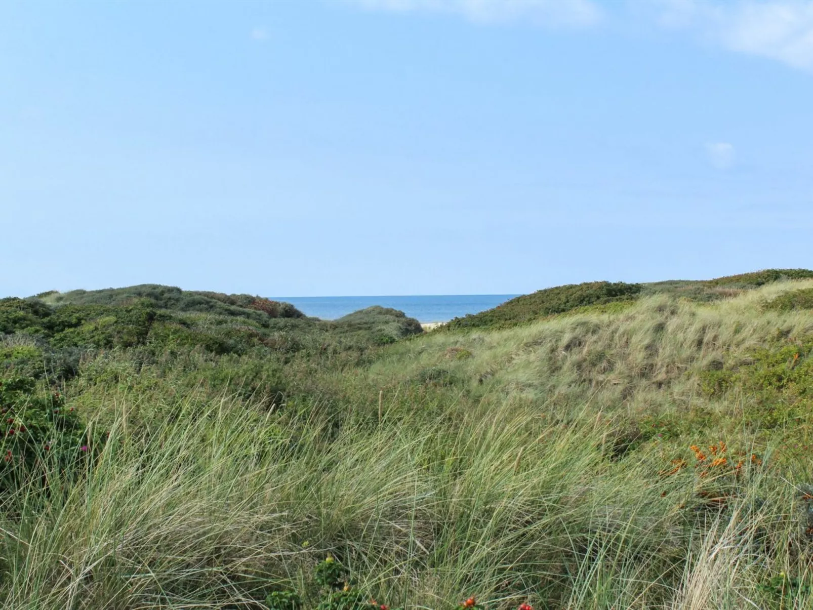 "Eunike" - 220m from the sea-Buiten