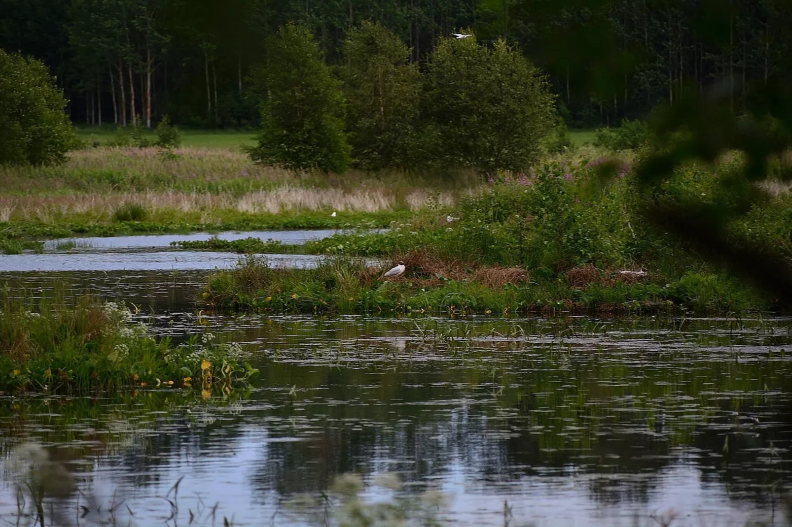 4 sterren vakantie huis in SÖDERALA-By Traum-Waterzicht