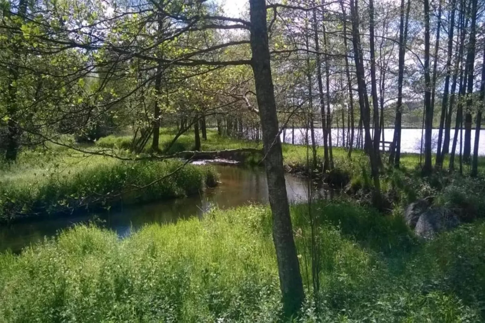 Domaine Des Messires 2-Gebieden zomer 5km