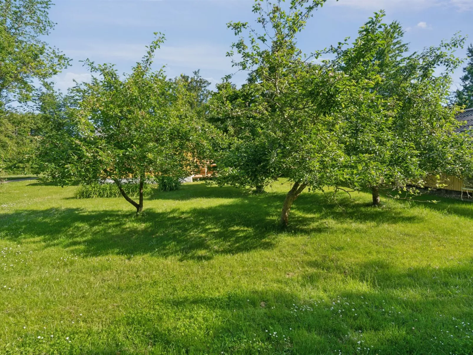 "Lennart" - 4km from the sea-Buiten