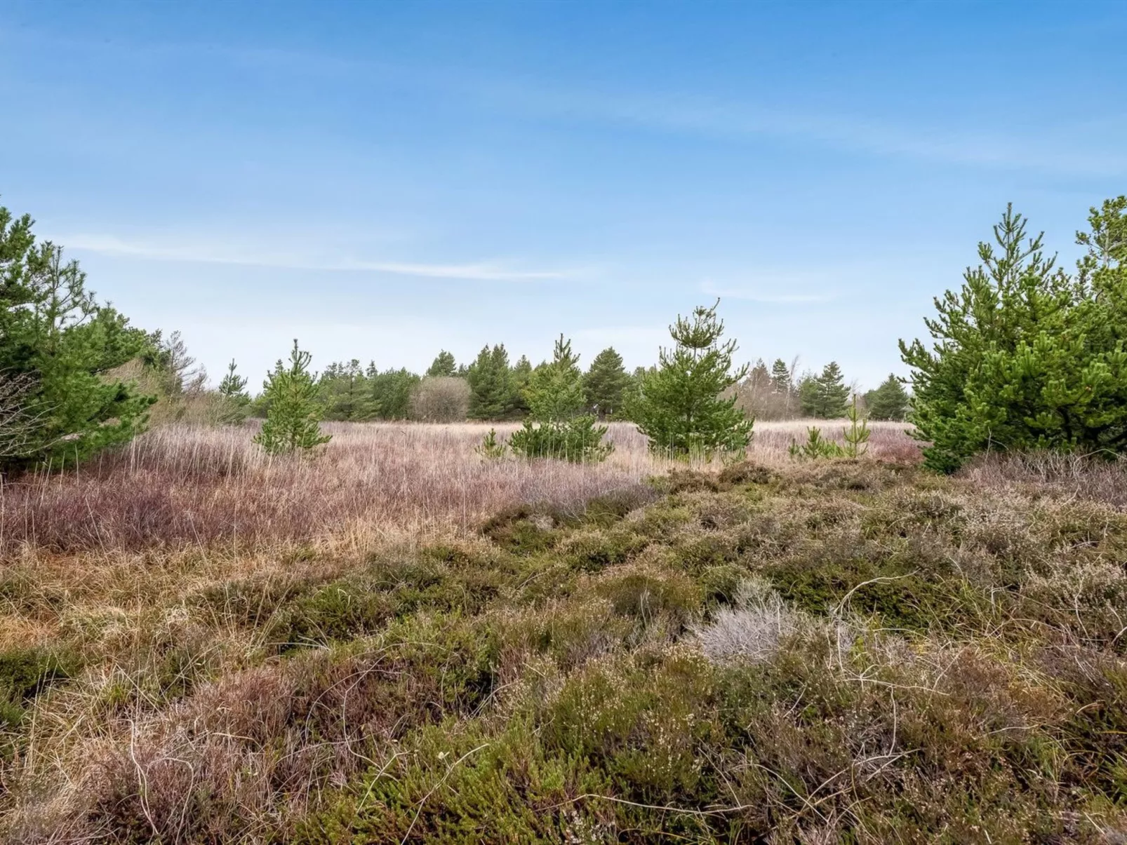 "Elpida" - 2km from the sea-Buiten