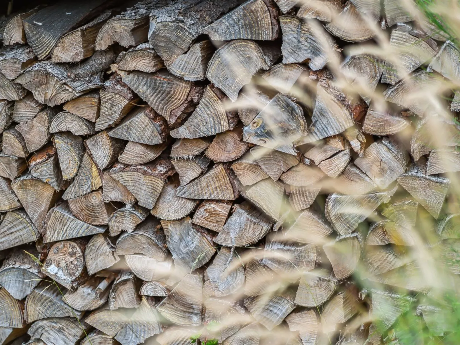 "Karlene" - 300m from the sea-Buiten