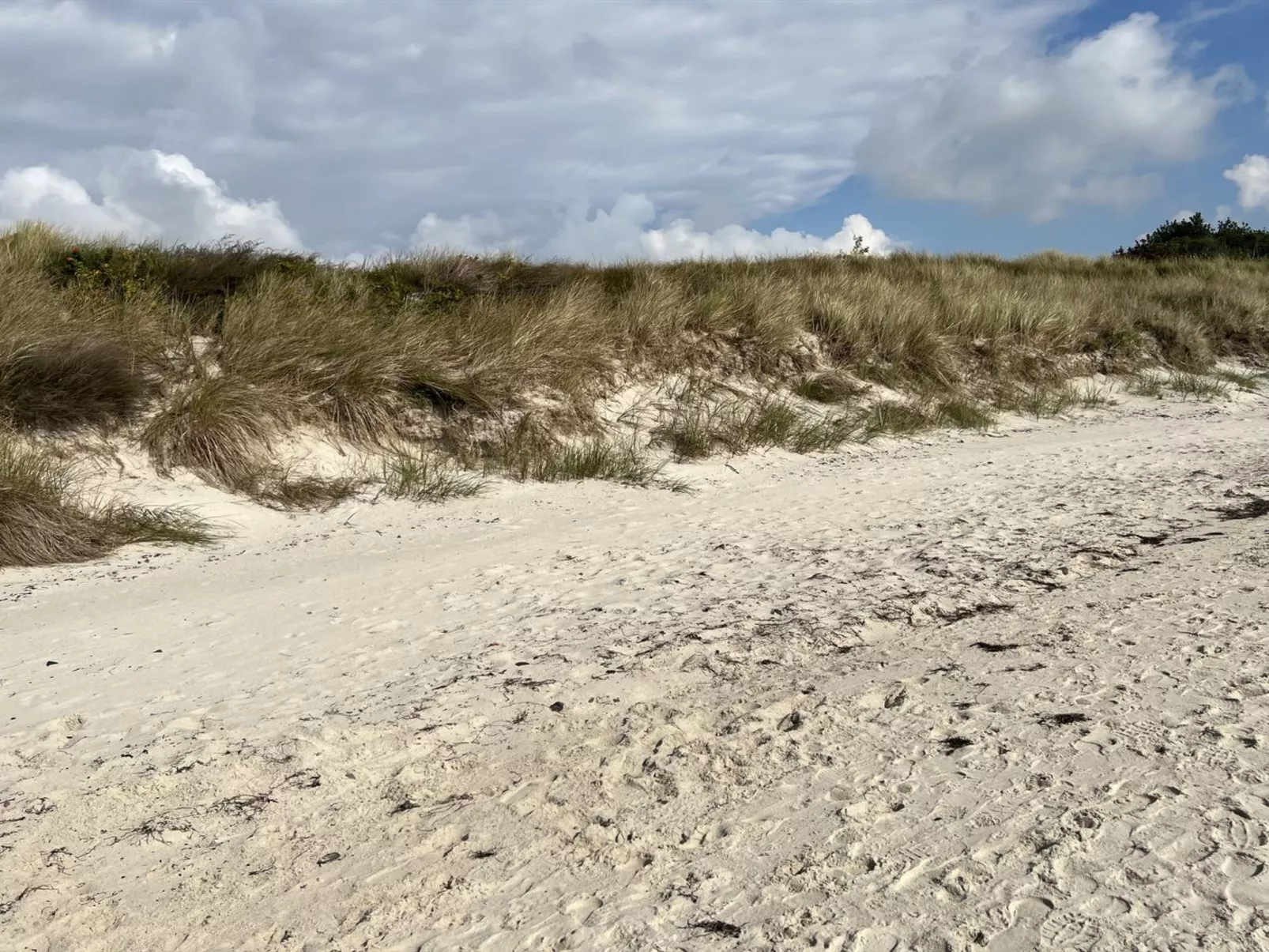 "Sunita" - 300m from the sea-Buiten