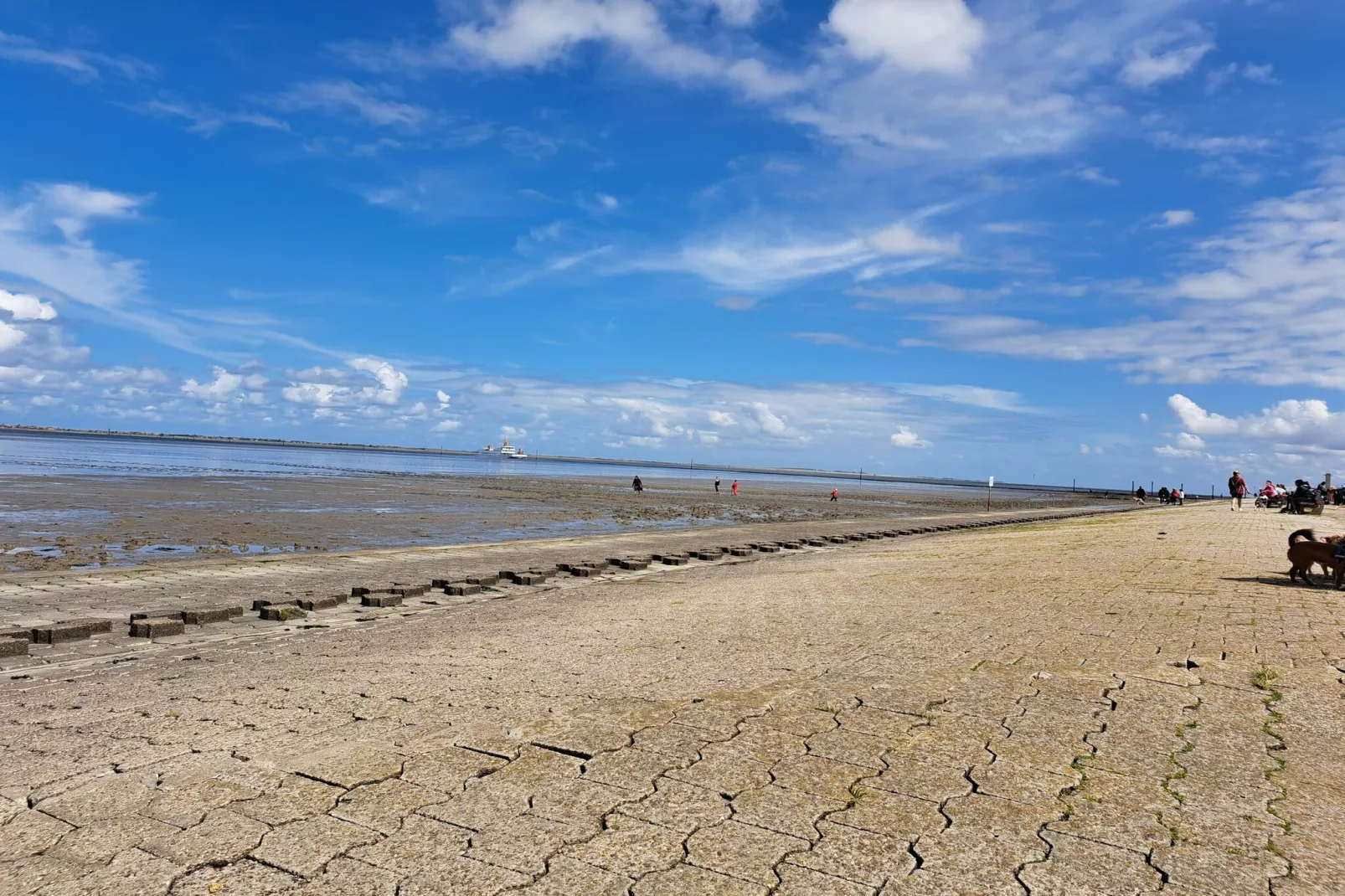 Ferienhaus 06 Marintje-Gebieden zomer 5km