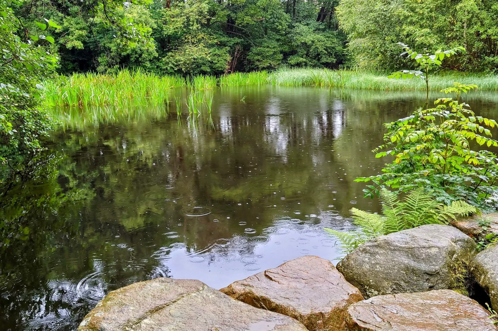 4 sterren vakantie huis in MUNKA-LJUNGBY-Waterzicht