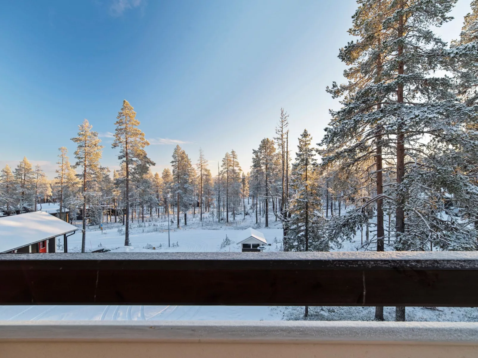 White dream a-Binnen