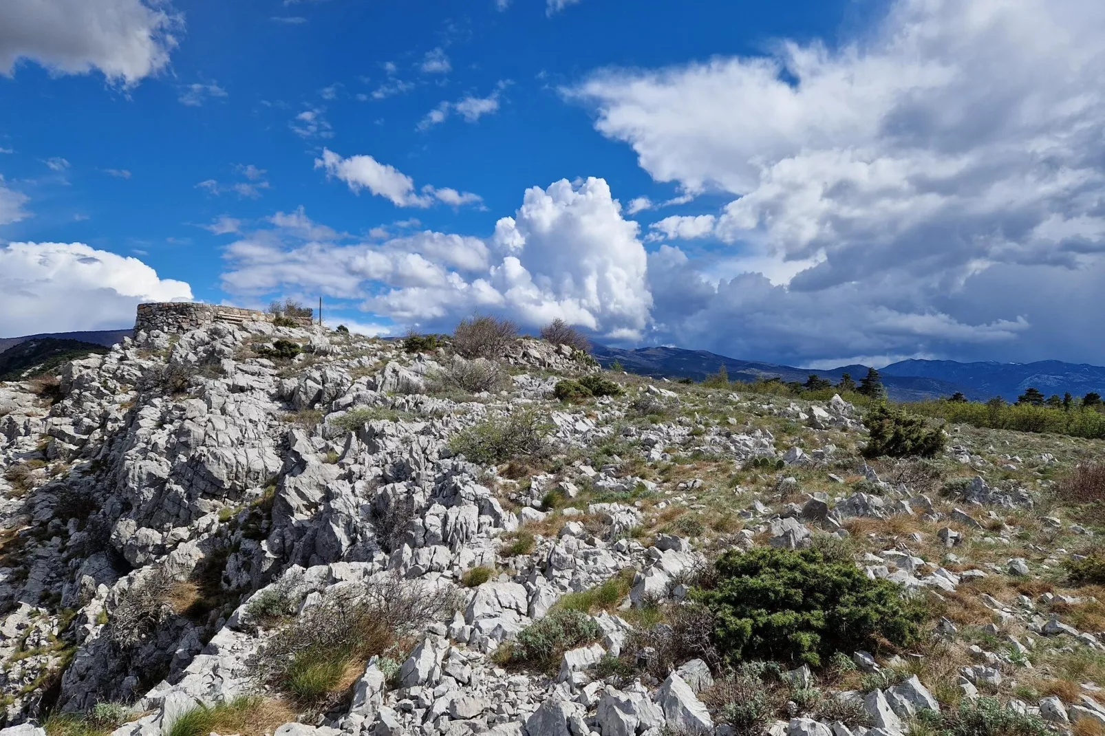 Niko 3-Gebieden zomer 5km