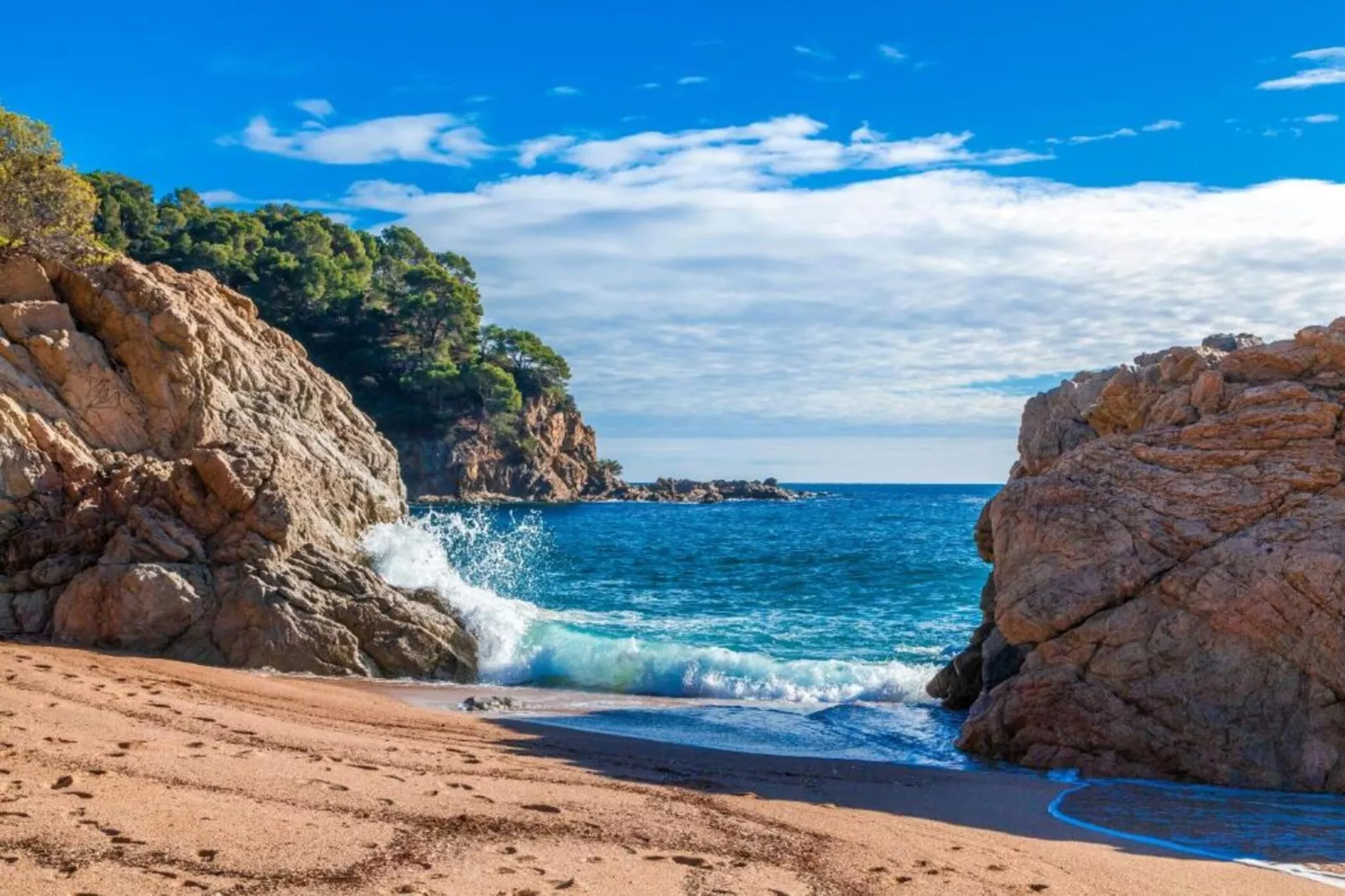 Medas 17-Gebieden zomer 5km