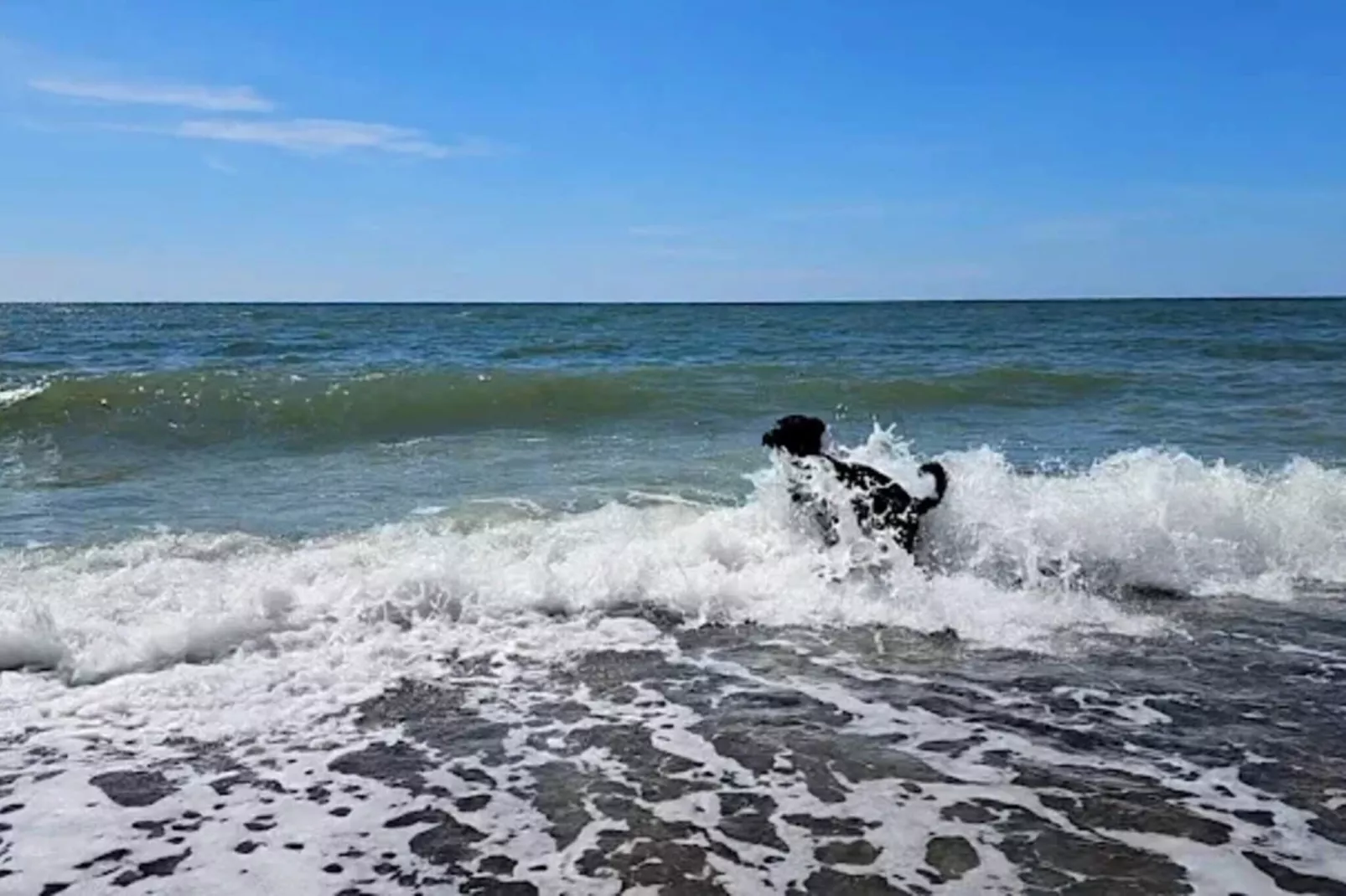 4 sterren vakantie huis in Nørre Nebel-Waterzicht