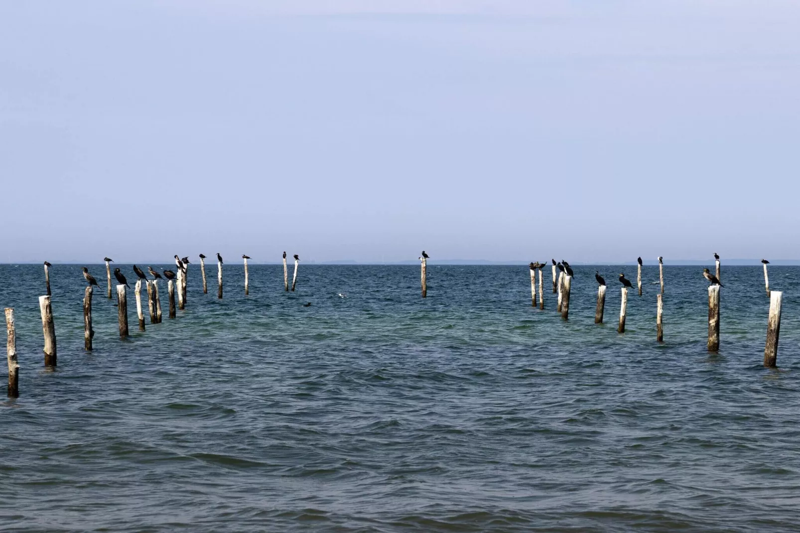 8 Personen vakantie huis in Nakskov-Waterzicht
