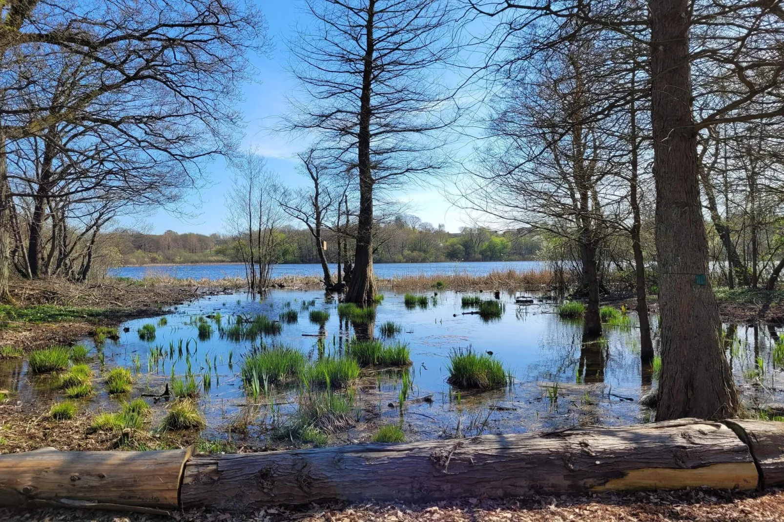 4 sterren vakantie huis in Vedbæk-Waterzicht