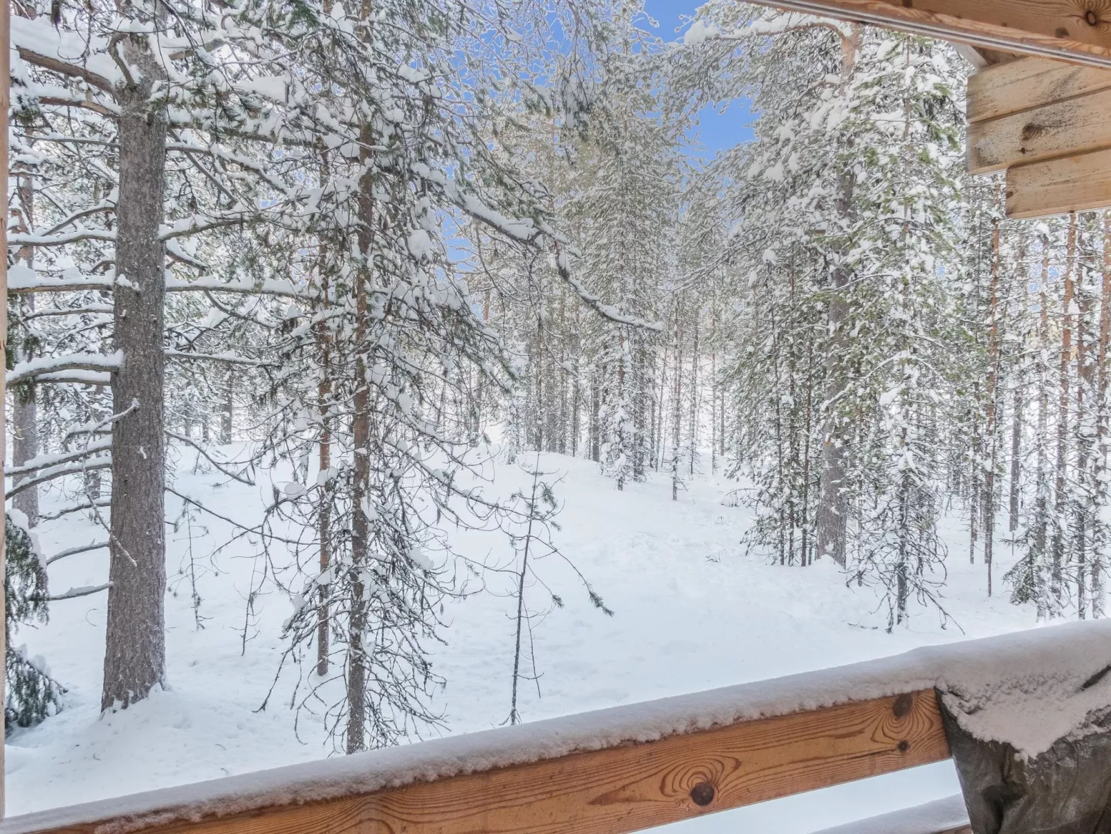 Oivangin siesta-Binnen