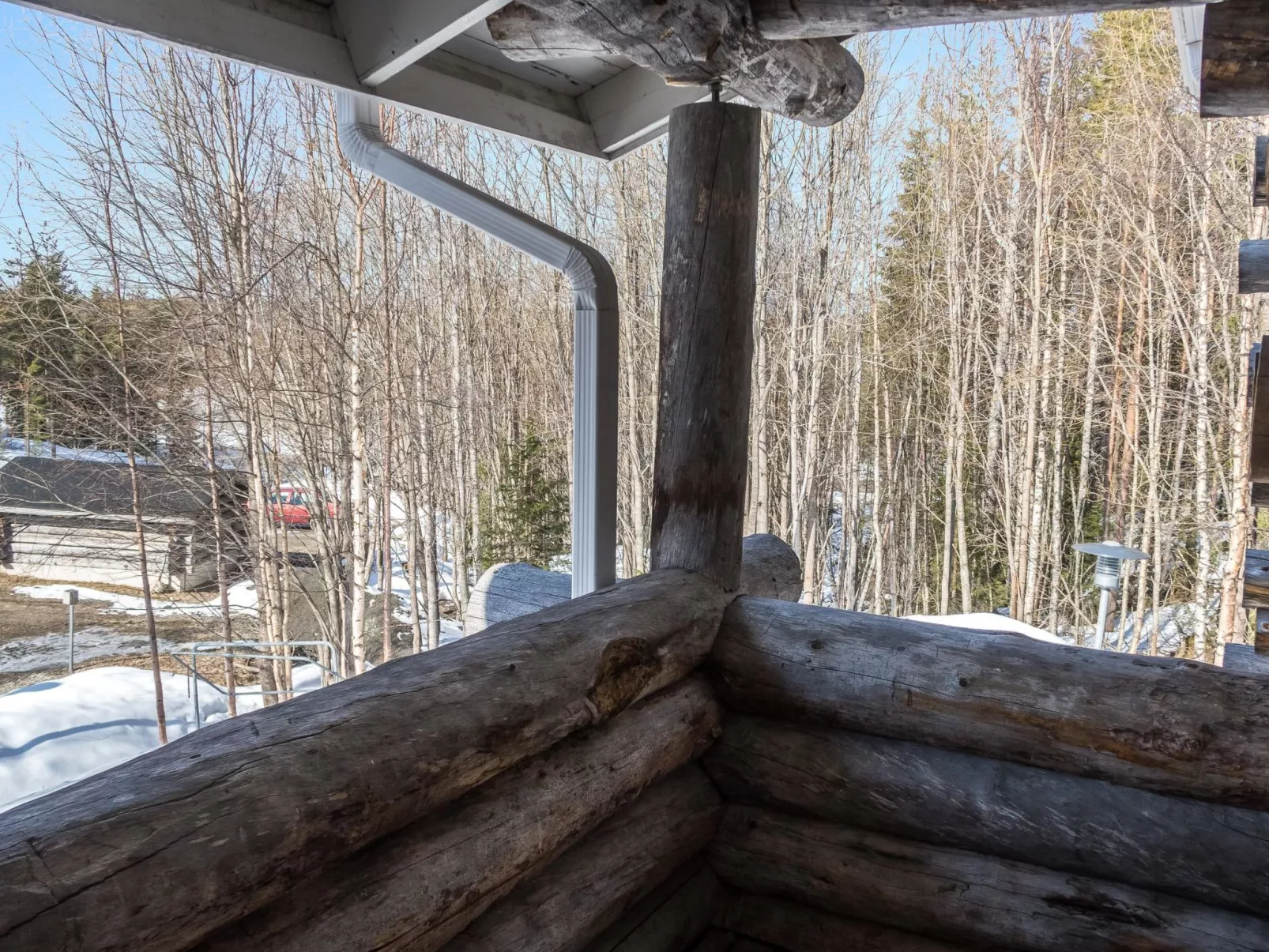 Rukankuukkeli c 24-Binnen