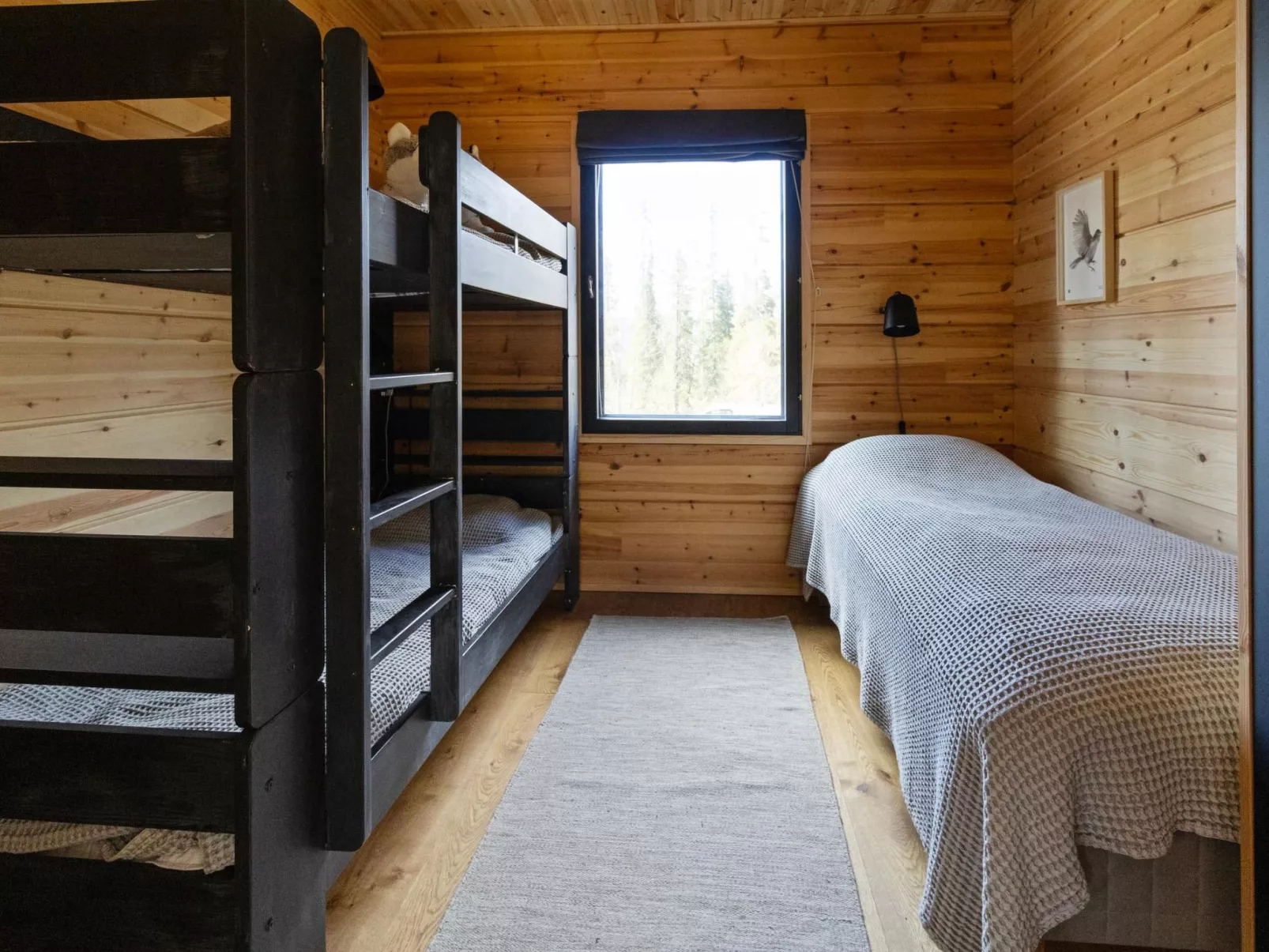 Sallan kuukkeli-Binnen