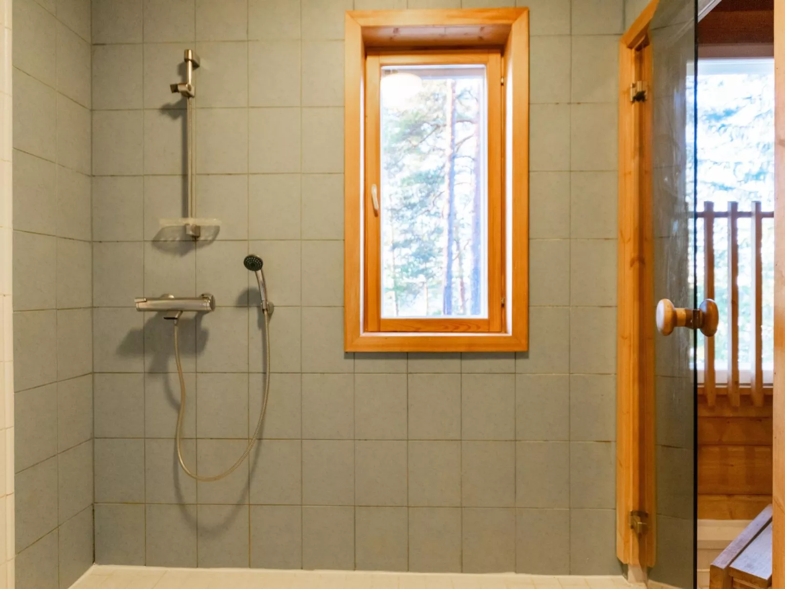 Näsinjoutsen-Binnen