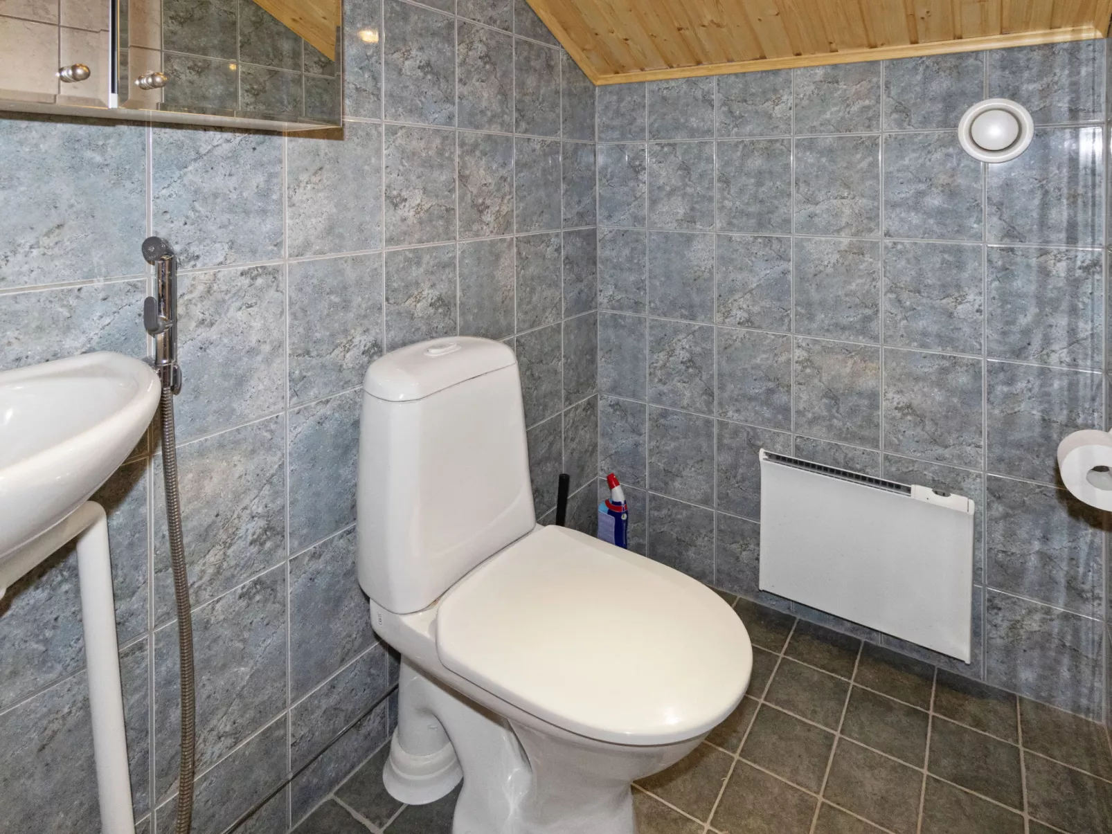 Kevätruska a-Binnen