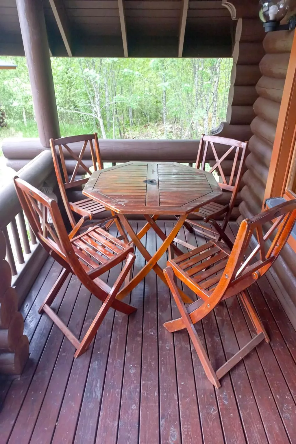 Metsä-pihlaja-Binnen