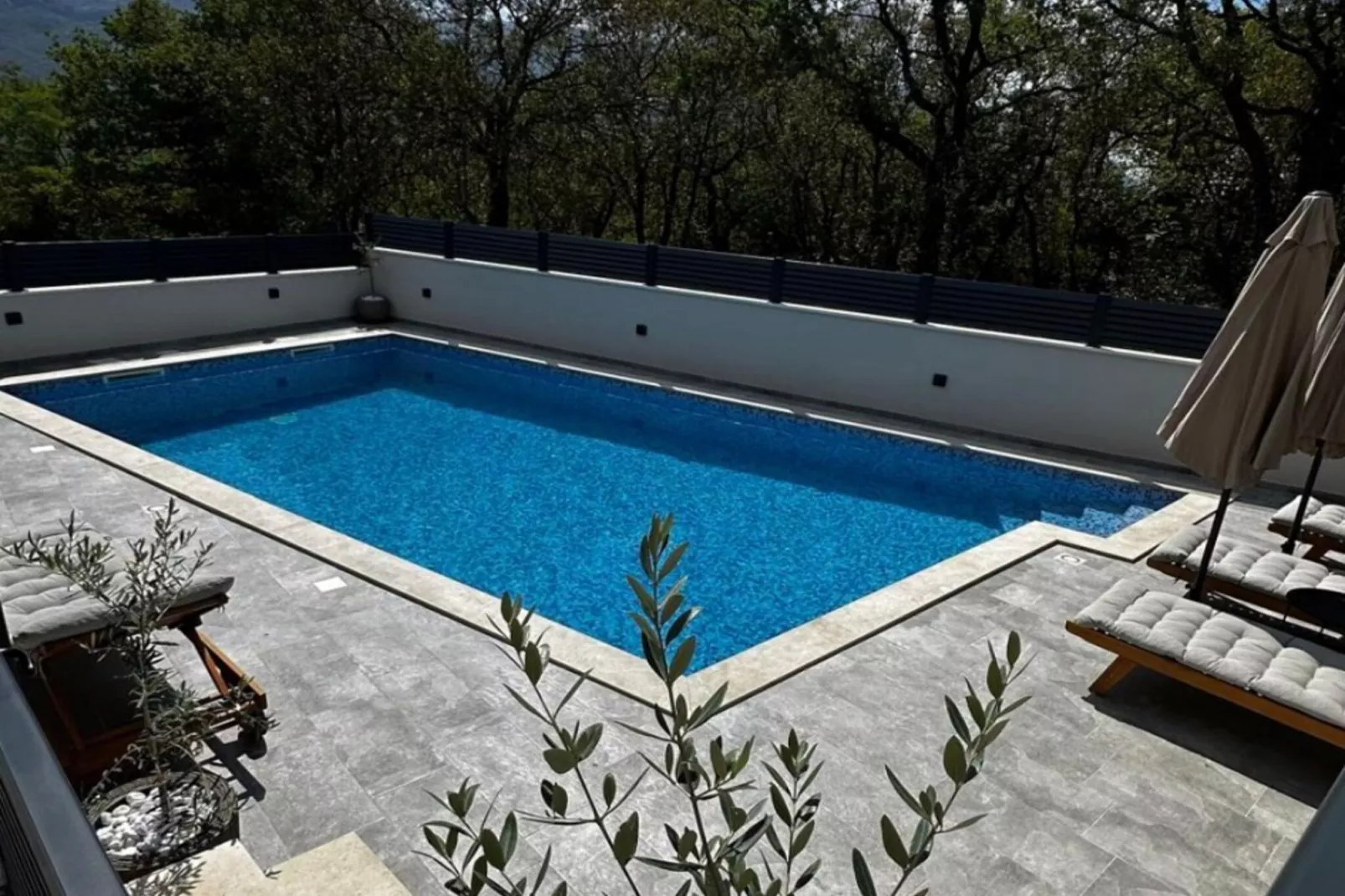 Apartment Ivan with Pool - Two Bedroom Apartment with Terrace and Swimming pool-Zwembad