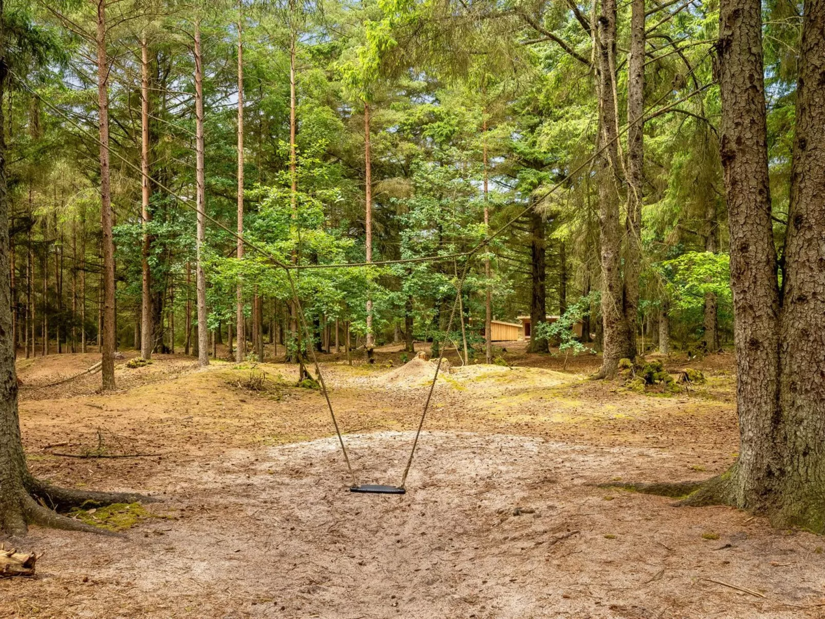 "Ernesta" -  from the sea-Buiten