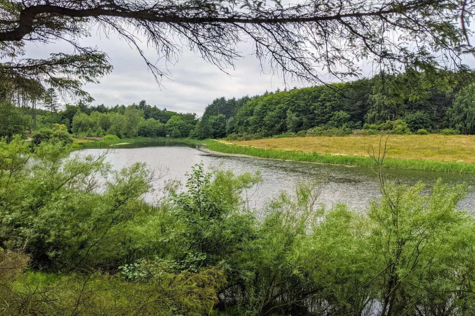 4 sterren vakantie huis in Brønderslev-Waterzicht