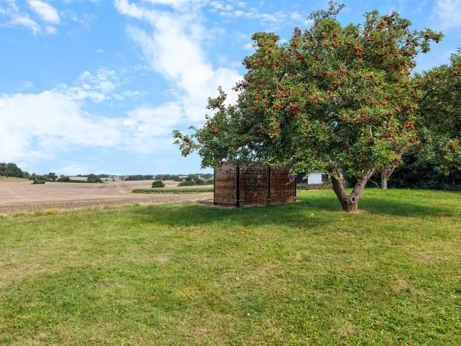 "Alisa" - 2.5km from the sea-Buiten