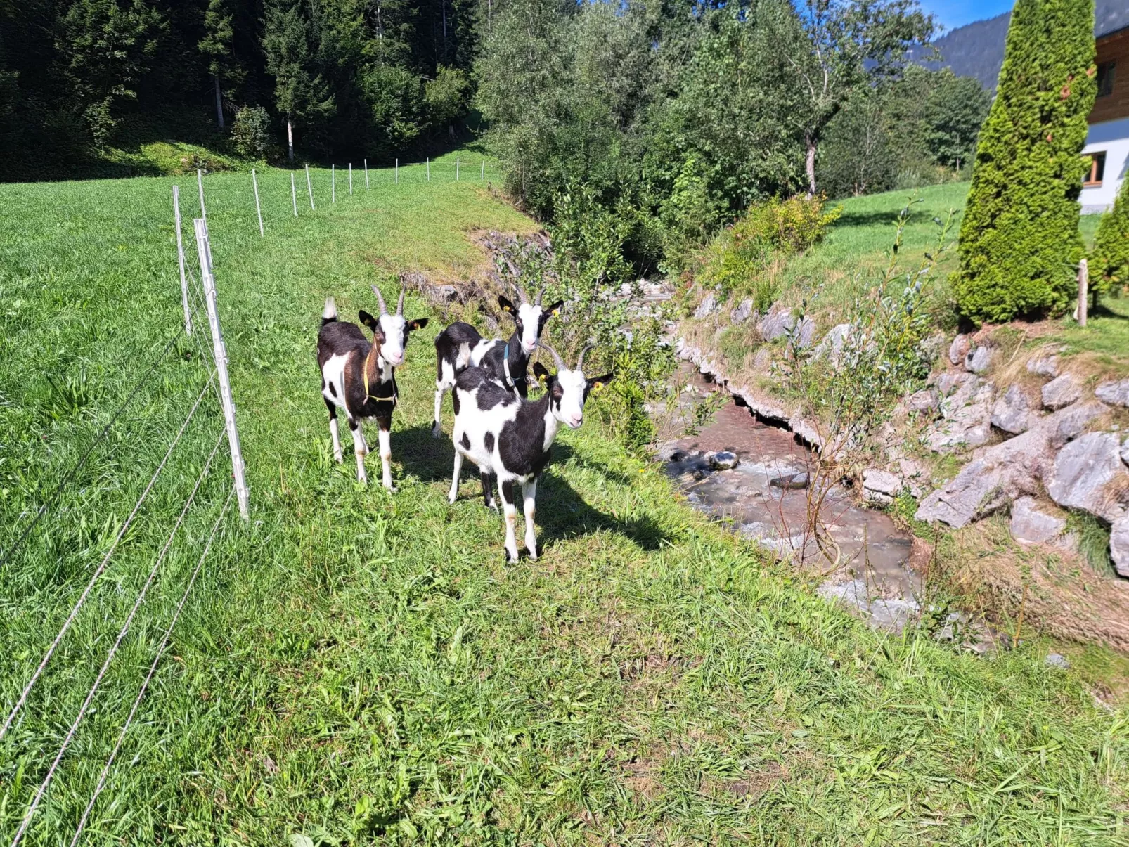 Waidmannsheil - 67qm-Buiten