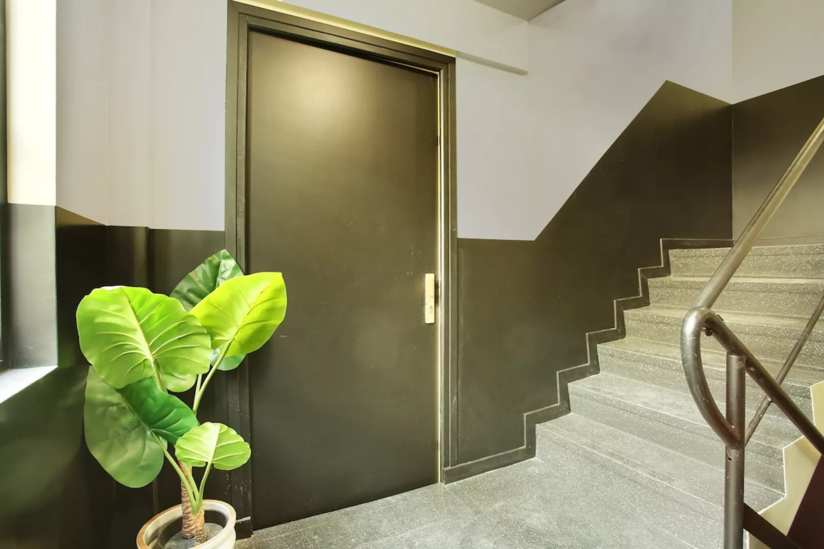 CAIRE 2 NEW-Niet-getagd