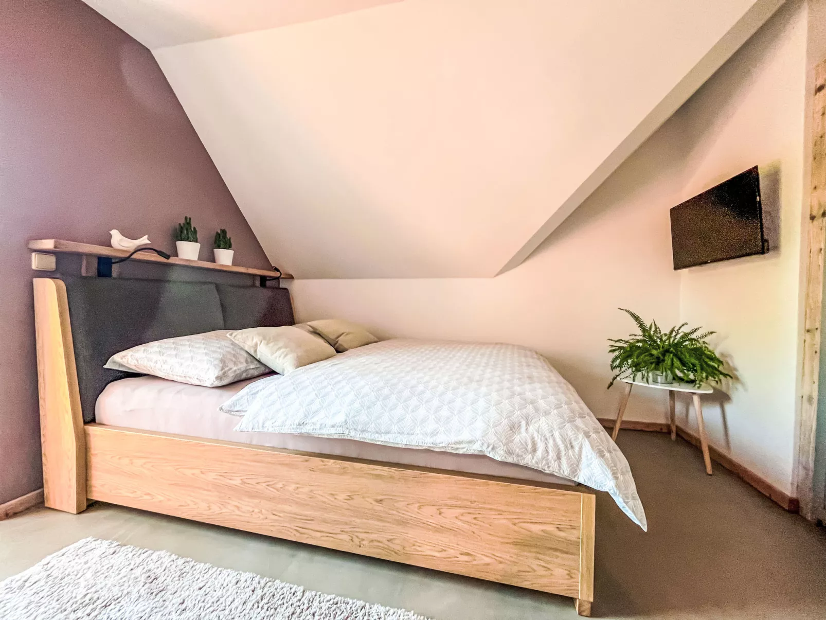 Sachrův Kopec-Binnen