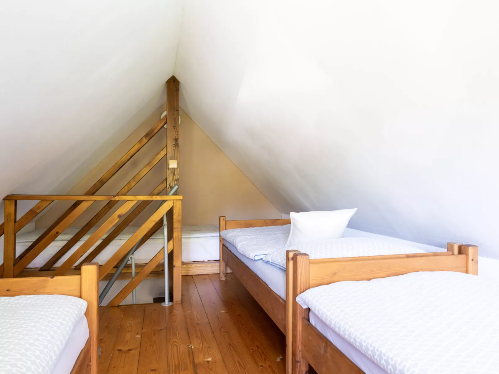 Sachrův Kopec-Binnen