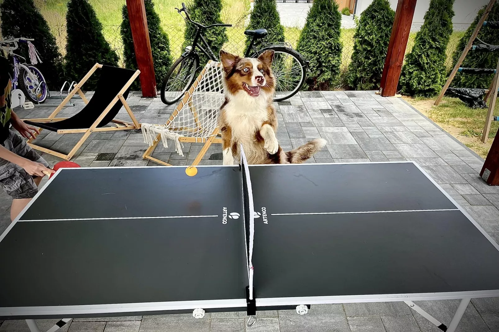 Domki wakacyjne dla 8 osób w Mielenku-Parkfaciliteiten