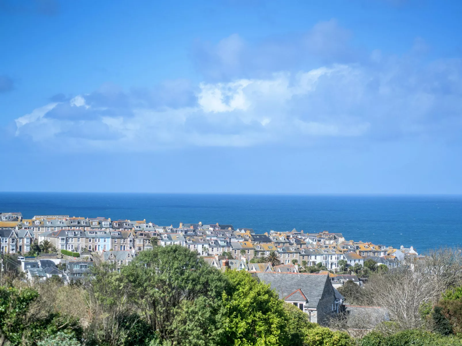 No. 5 Harlequin-Buiten