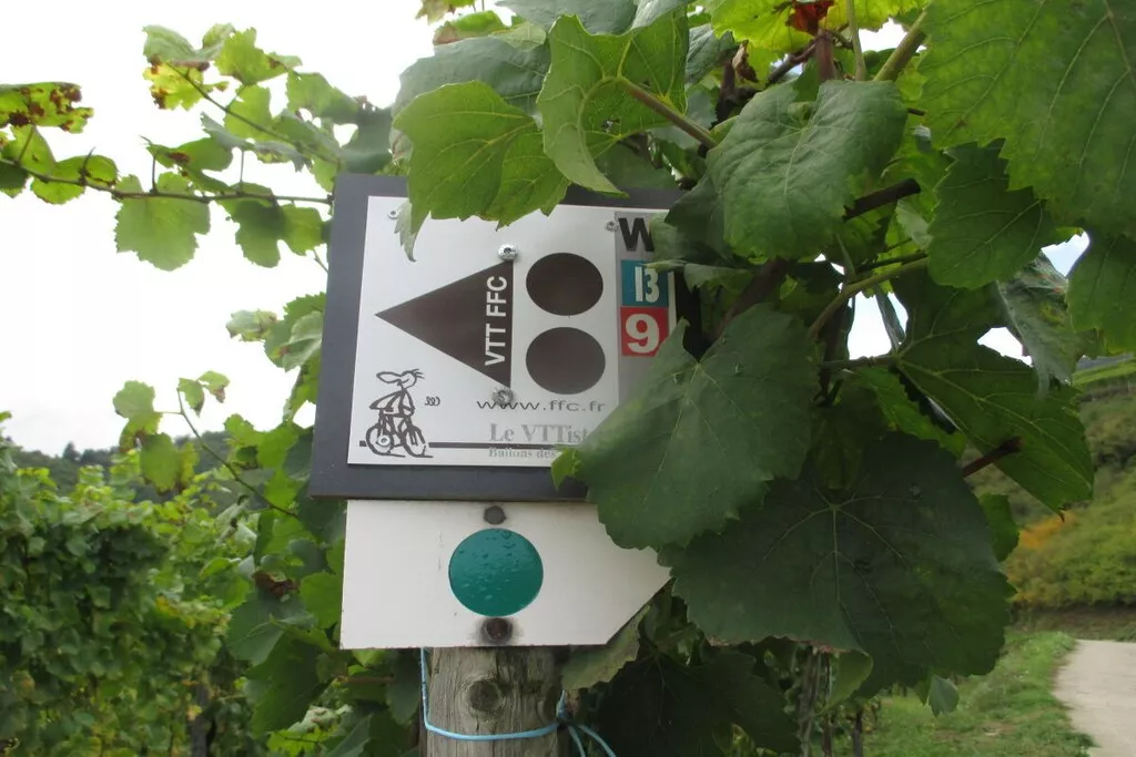 428685 - Niet-getagd